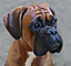 2vala_head_12mos.png