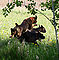 vala_leapfrog.jpg