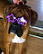 vala_superstar2.jpg