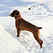 vala_snow7_f.jpg