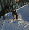 vala_snowbank2_f.jpg