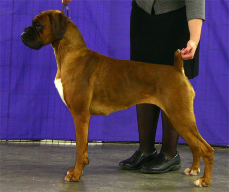 vala_18mos.jpg