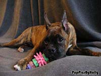 Photo by Muttshots Photography