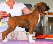 Rowan at nine weeks