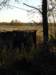 home_200410b_small.jpg