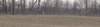 home_coyote2_small.jpg