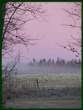 home_pinkmist1.jpg