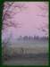 home_pinkmist1_small.jpg
